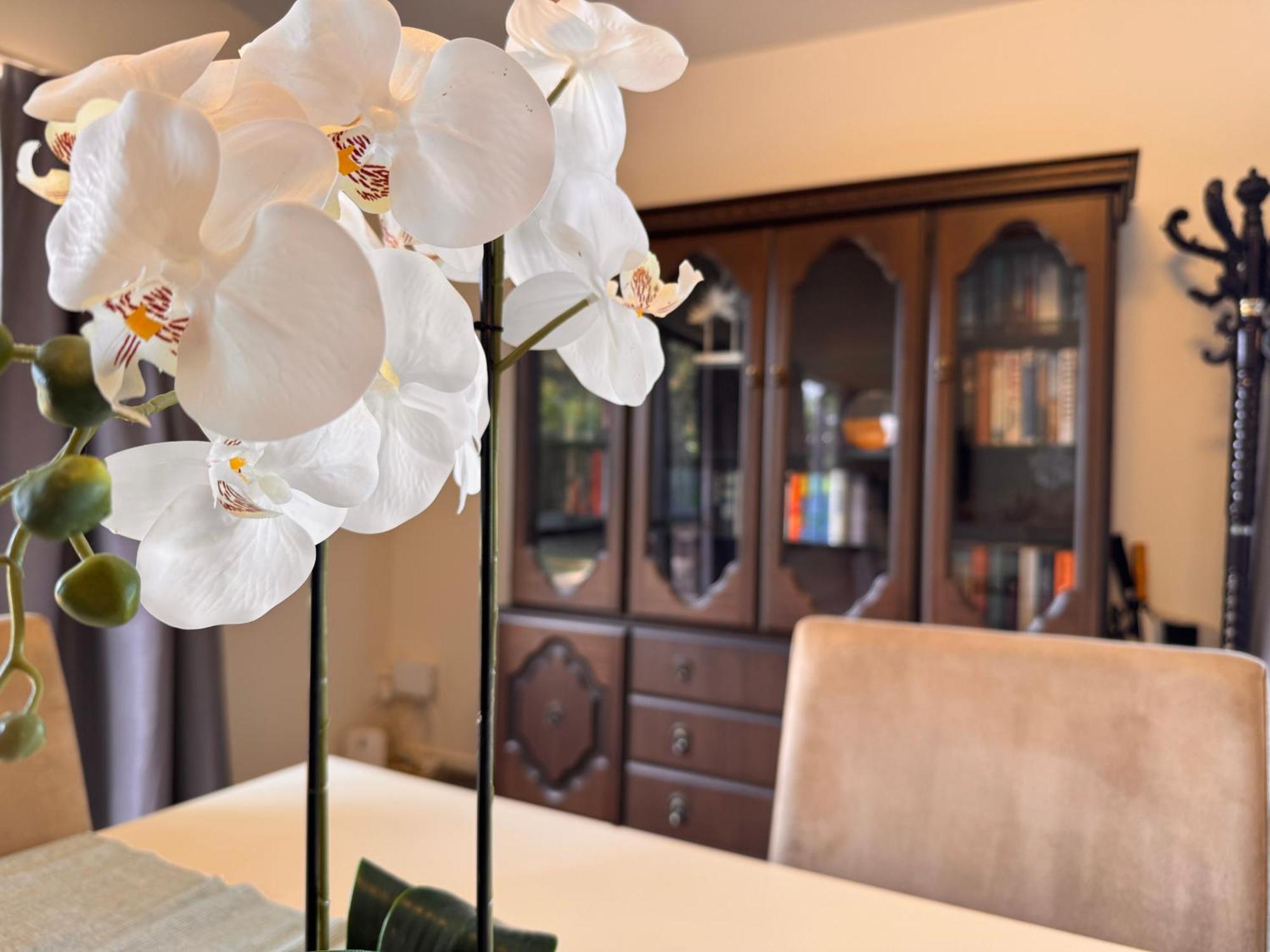 Woodbank Retreat Villa แฮนเมอร์สปริงส์ ภายนอก รูปภาพ
